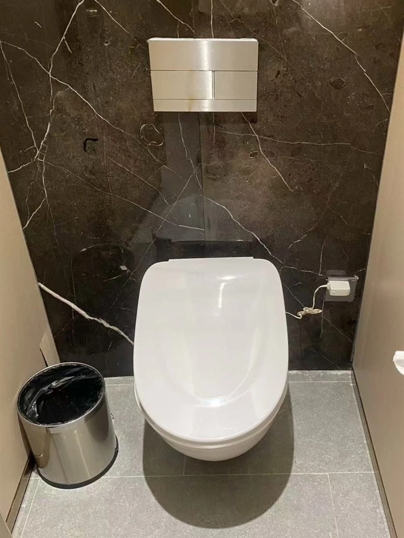 wall-mount-commercial-toilet-seat supplier wall-mount-commercial-toilet-seat supplier